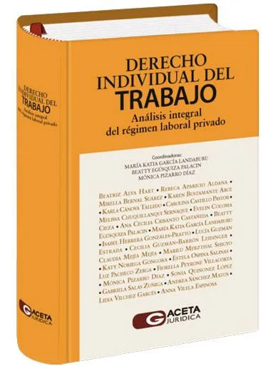 DERECHO INDIVIDUAL DEL TRABAJO Analisis integral del regimen laboral privado