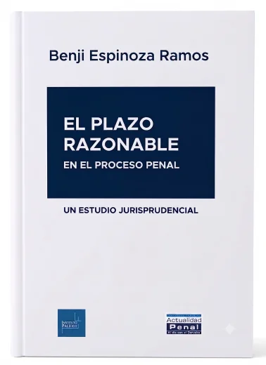 El Plazo Razonable en el Proceso Penal. Un Estudio Jurisprudencial