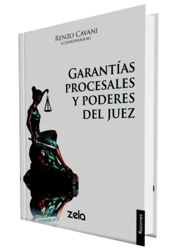 GARANTIAS PROCESALES Y PODERES DEL JUEZ