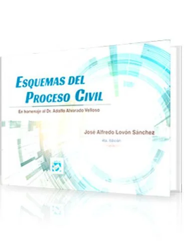 ESQUEMAS DEL PROCESO CIVIL