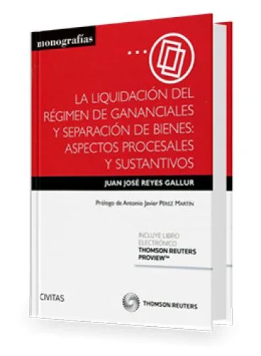 LA LIQUIDACIÓN DEL RÉGIMEN DE GANANCIALES Y SEPARACIÓN DE BIENES: ASPECTOS PROCESALES Y SUSTANTIVOS