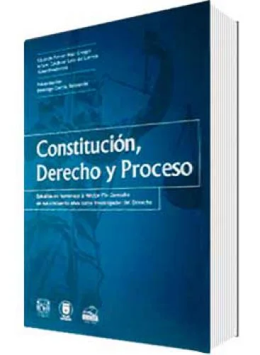 CONSTITUCIÓN, DERECHO Y PROCESO