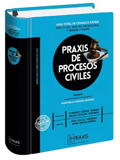 PRAXIS DE PROCESOS CIVILES