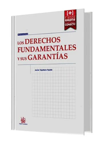 LOS DERECHOS FUNDAMENTALES Y SUS GARANTÍAS