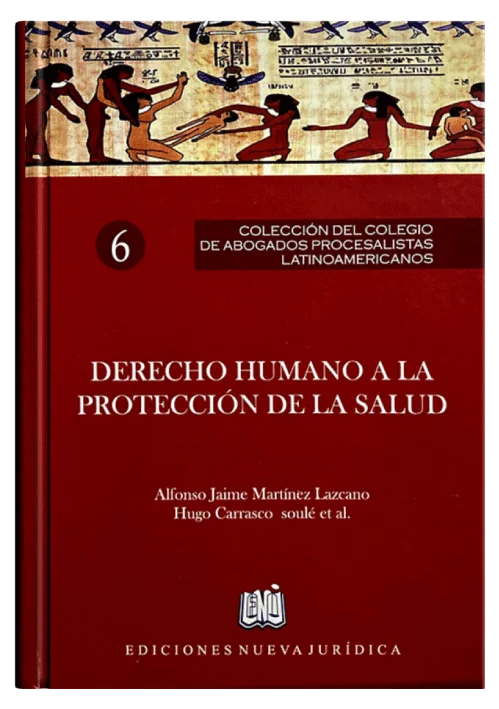 DERECHO HUMANO A LA PROTECCIÓN DE LA SALUD