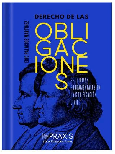 DERECHO DE LAS OBLIGACIONES. Problemas fundamentales en la codificación civil