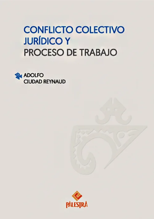 CONFLICTO COLECTIVO JURIDICO Y PROCESO DE TRABAJO