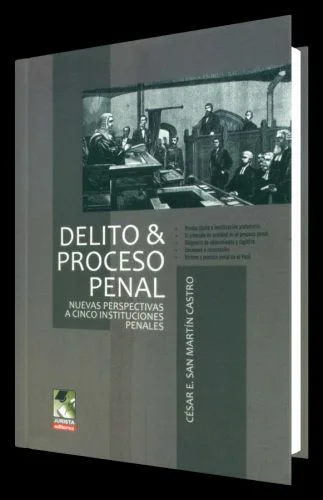 DELITOS Y PROCESO PENAL - nuevas perspectivas a cinco instituciones penales