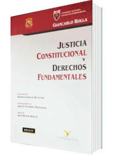 JUSTICIA CONSTITUCIONAL Y DERECHOS FUNDAMENTALES