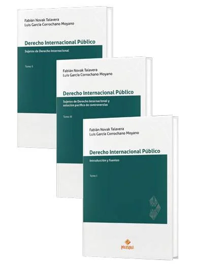 DERECHO INTERNACIONAL PÚBLICO (3 tomos)