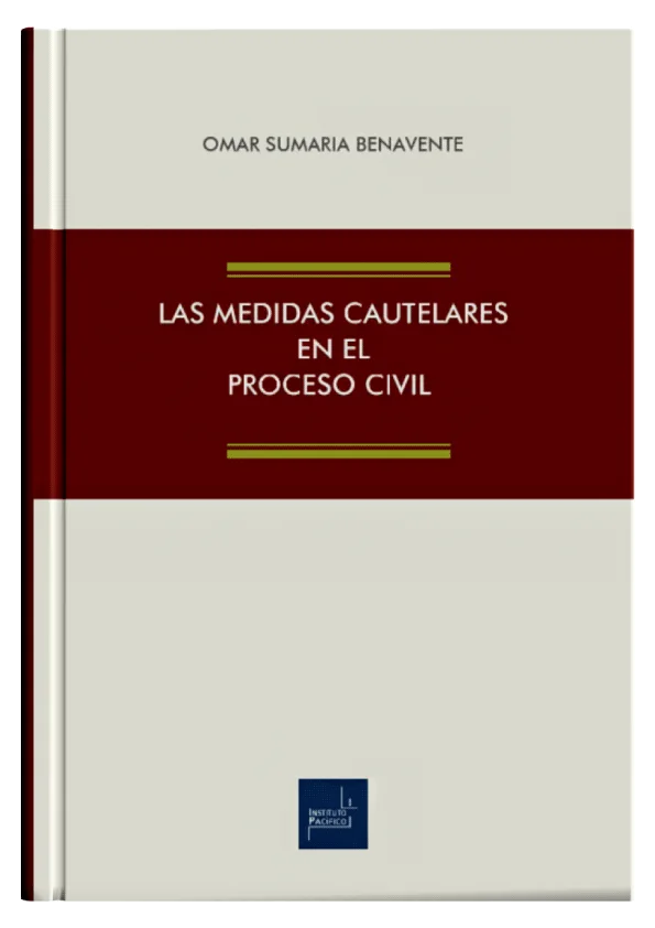 LAS MEDIDAS CAUTELARES EN EL PROCESO CIVIL