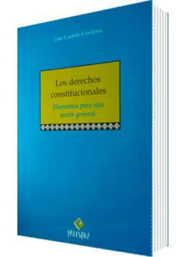 LOS DERECHOS CONSTITUCIONALES
