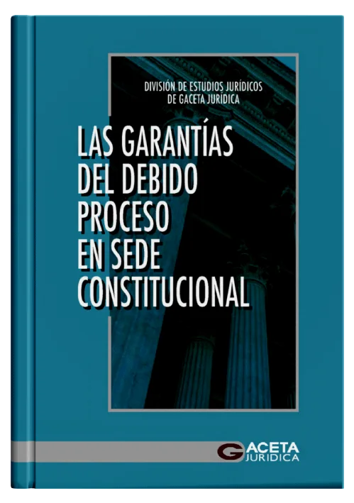 LAS GARANTÍAS DEL DEBIDO PROCESO EN SEDE CONSTITUCIONAL