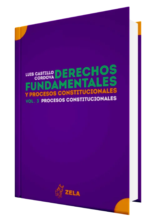 DERECHOS FUNDAMENTALES Y PROCESOS CONSTITUCIONALES. Los procesos constitucionales (vol. 3)