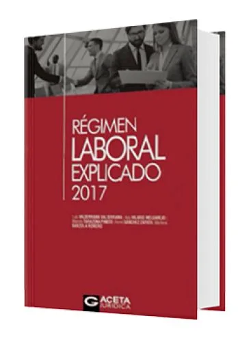 RÉGIMEN LABORAL EXPLICADO 2017