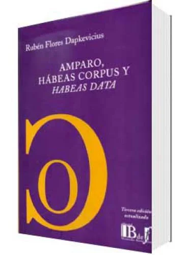 AMPARO, HÁBEAS CORPUS Y HABEAS DATA