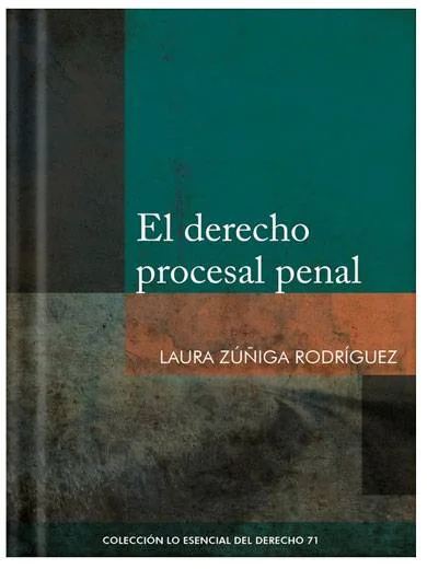 EL DERECHO PROCESAL PENAL - Tomo 71 Lo esencial