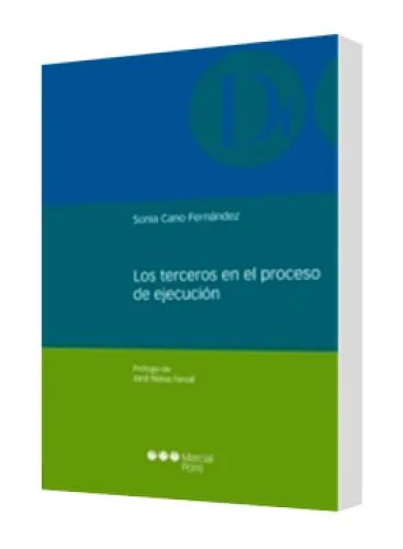 LOS TERCEROS EN EL PROCESO DE EJECUCIÓN