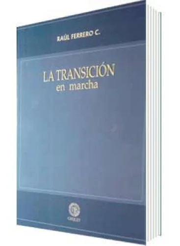 LA TRANSICIÓN EN MARCHA