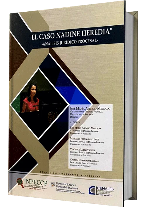 EL CASO NADINE HEREDIA - Analisis Juridico Procesal