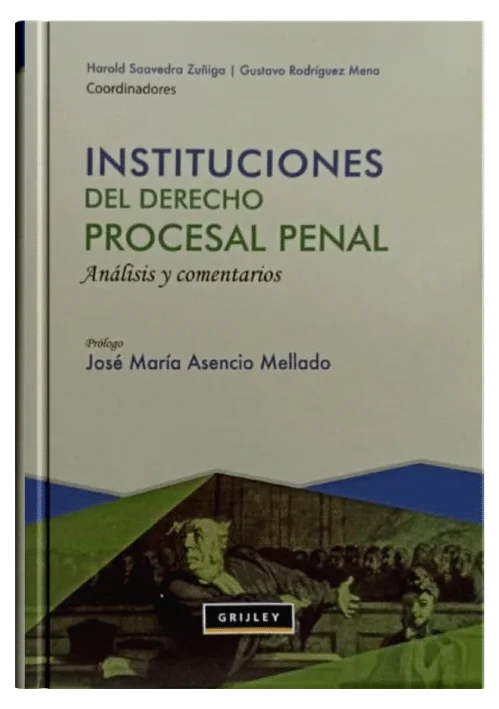 INSTITUCIONES DEL DERECHO PROCESAL PENAL