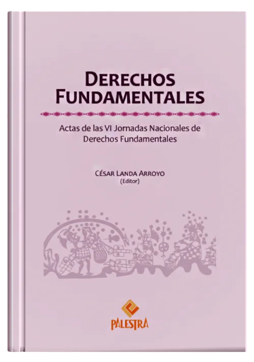 DERECHOS FUNDAMENTALES - Actas de las VI Jornadas Nacionales de Derechos Fundamentales.