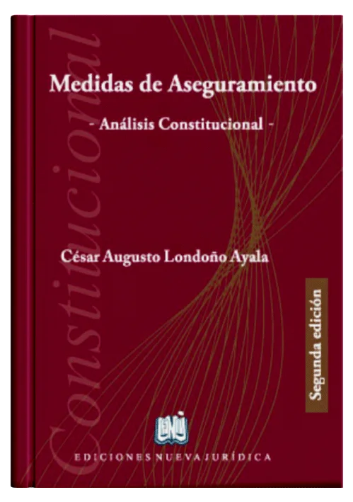 MEDIDAS DE ASEGURAMIENTO - Análisis Constitucional
