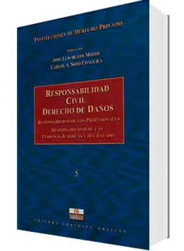 Responsabilidad civil. Derecho de daños Tomo 5