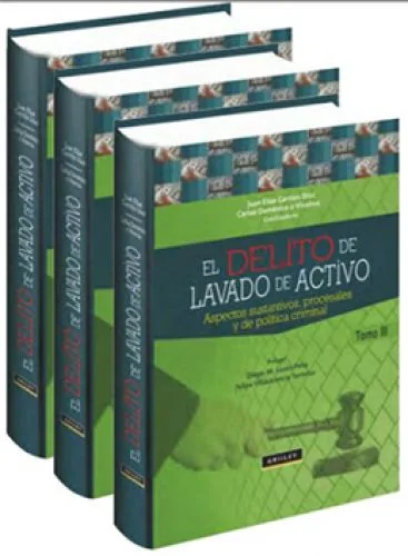 El Delito De Lavado de Activos