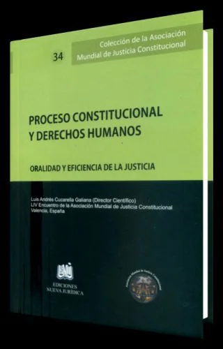PROCESOS CONSTITUCIONAL Y DERECHOS HUMANOS 