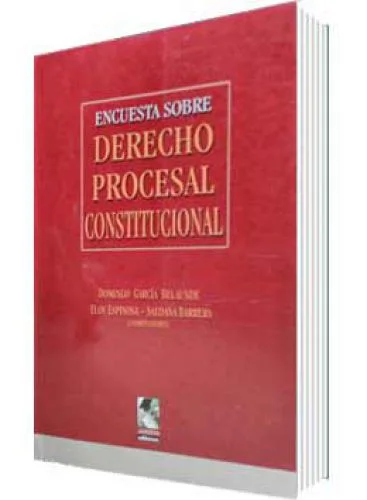 ENCUESTA SOBRE DERECHO PROCESAL CONSTITUCIONAL