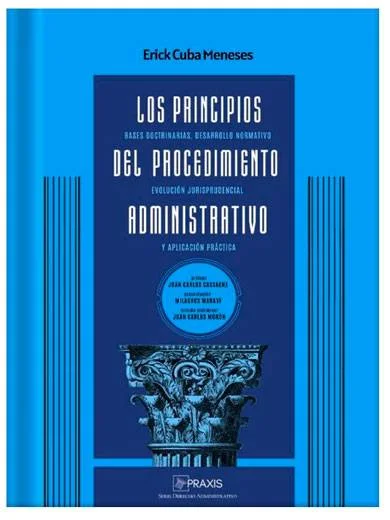 LOS PRINCIPIOS DEL PROCEDIMIENTO ADMINISTRATIVO