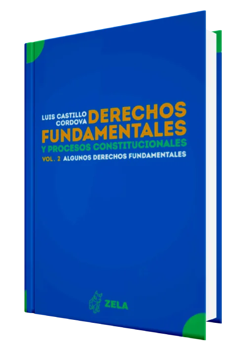 DERECHOS FUNDAMENTALES Y PROCESOS CONSTITUCIONALES. Estudios sobre algunos derechos fundamentales (vol. 2)