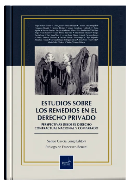 ESTUDIOS SOBRE LOS REMEDIOS EN EL DERECHO PRIVADO