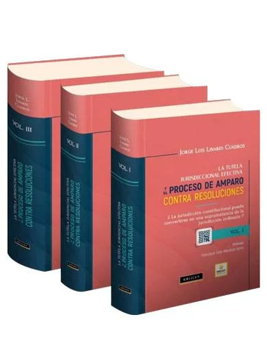 LA TUTELA JURISDICCIONAL EFECTIVA Y EL PROCESO DE AMPARO CONTRA RESOLUCIONES