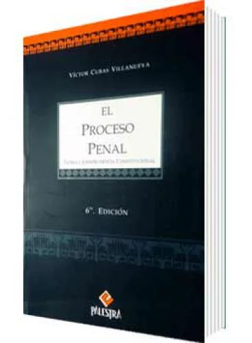 EL PROCESO PENAL