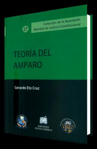 TEORÍA DEL AMPARO