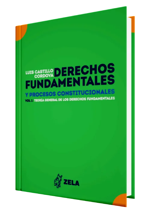 DERECHOS FUNDAMENTALES Y PROCESOS CONSTITUCIONALES. Teoria general de los derechos fundamentales (vol. 1)