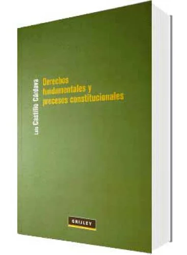 DERECHOS FUNDAMENTALES Y PROCESOS CONSTITUCIONALES