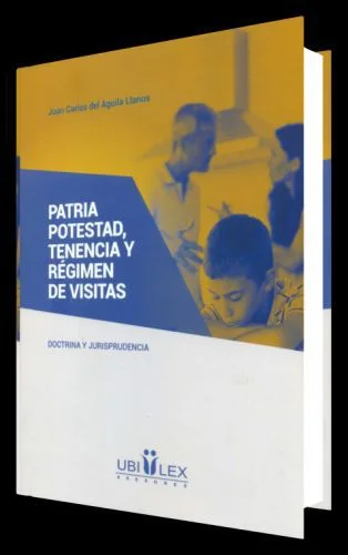 PATRIA POTESTAD, TENENCIA Y RÉGIMEN DE VISITAS