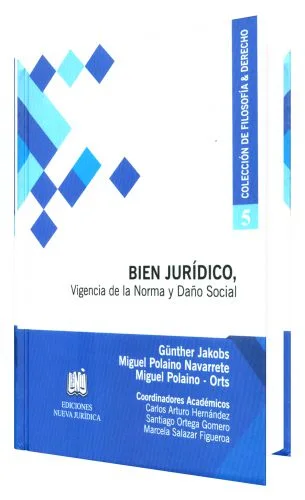EL NUEVO PROCESO INMEDIATO Y SU PROBLEMÁTICA - Teoría y Práctica