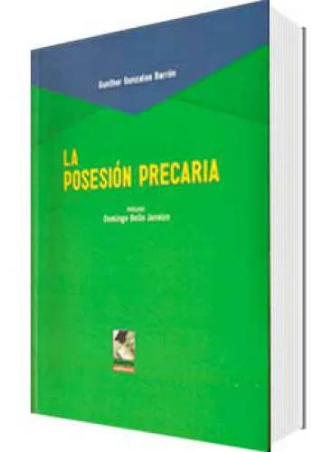 LA POSESIÓN PRECARIA 
