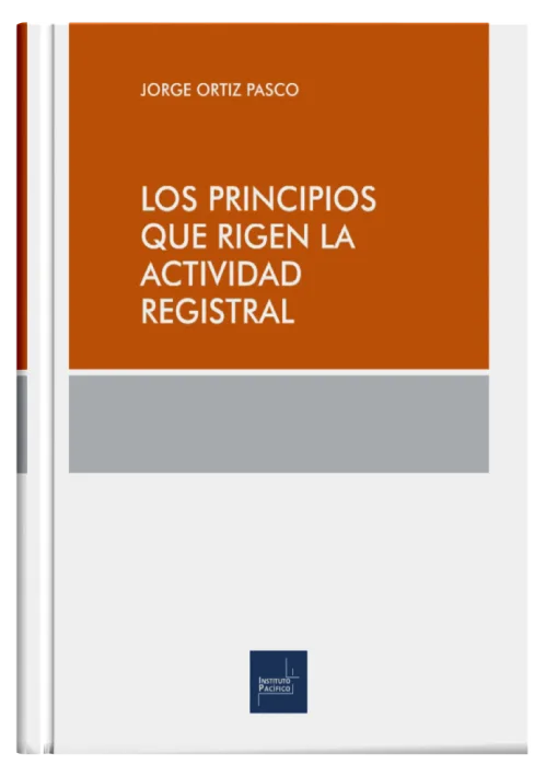 LOS PRINCIPIOS QUE RIGEN LA ACTIVIDAD REGISTRAL