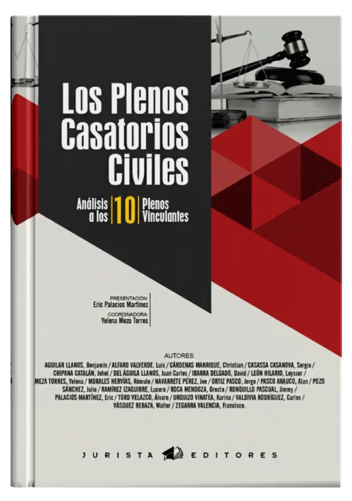 LOS PLENOS CASATORIOS CIVILES - Análisis a los 10 plenos vinculantes.