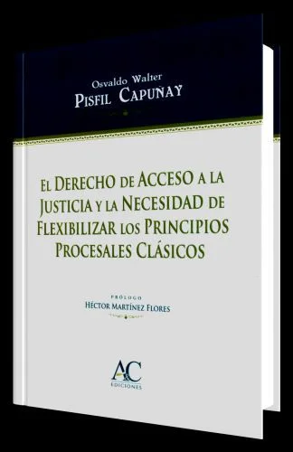 EL DERECHO DE ACCESO A LA JUSTICIA Y LA NECESIDAD DE FLEXIBILIZAR LOS PRINCIPIOS PROCESALES CLÁSICOS