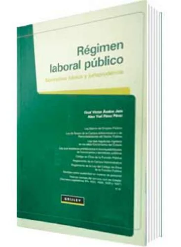 RÉGIMEN LABORAL PÚBLICO