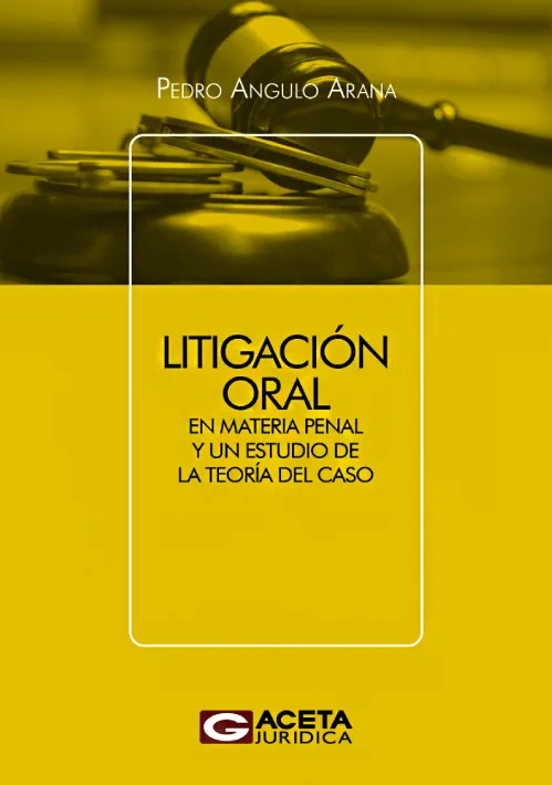 LITIGACION ORAL EN MATERIA PENAL Y UN ESTUDIO DE LA TEORIA DEL CASO