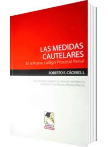 LAS MEDIDAS CAUTELARES