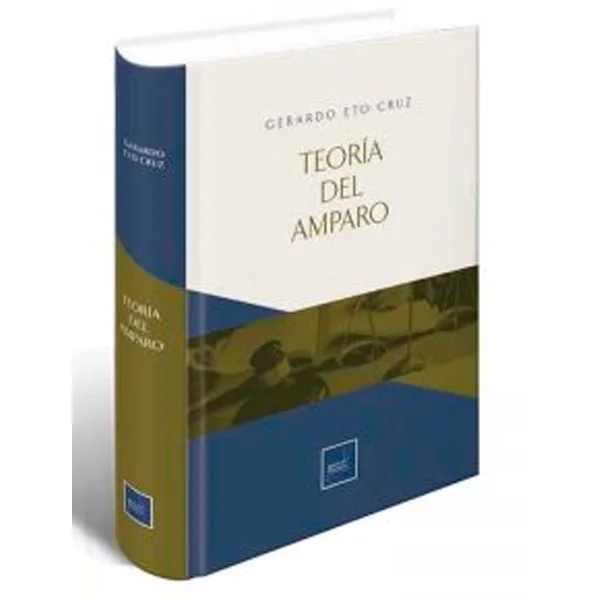 TEORIA DEL AMPARO
