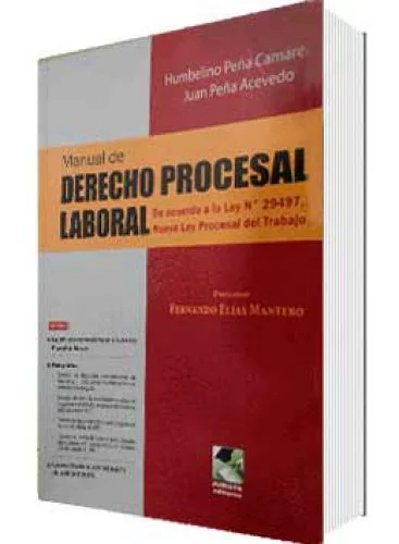 MANUAL DE DERECHO PROCESAL LABORAL